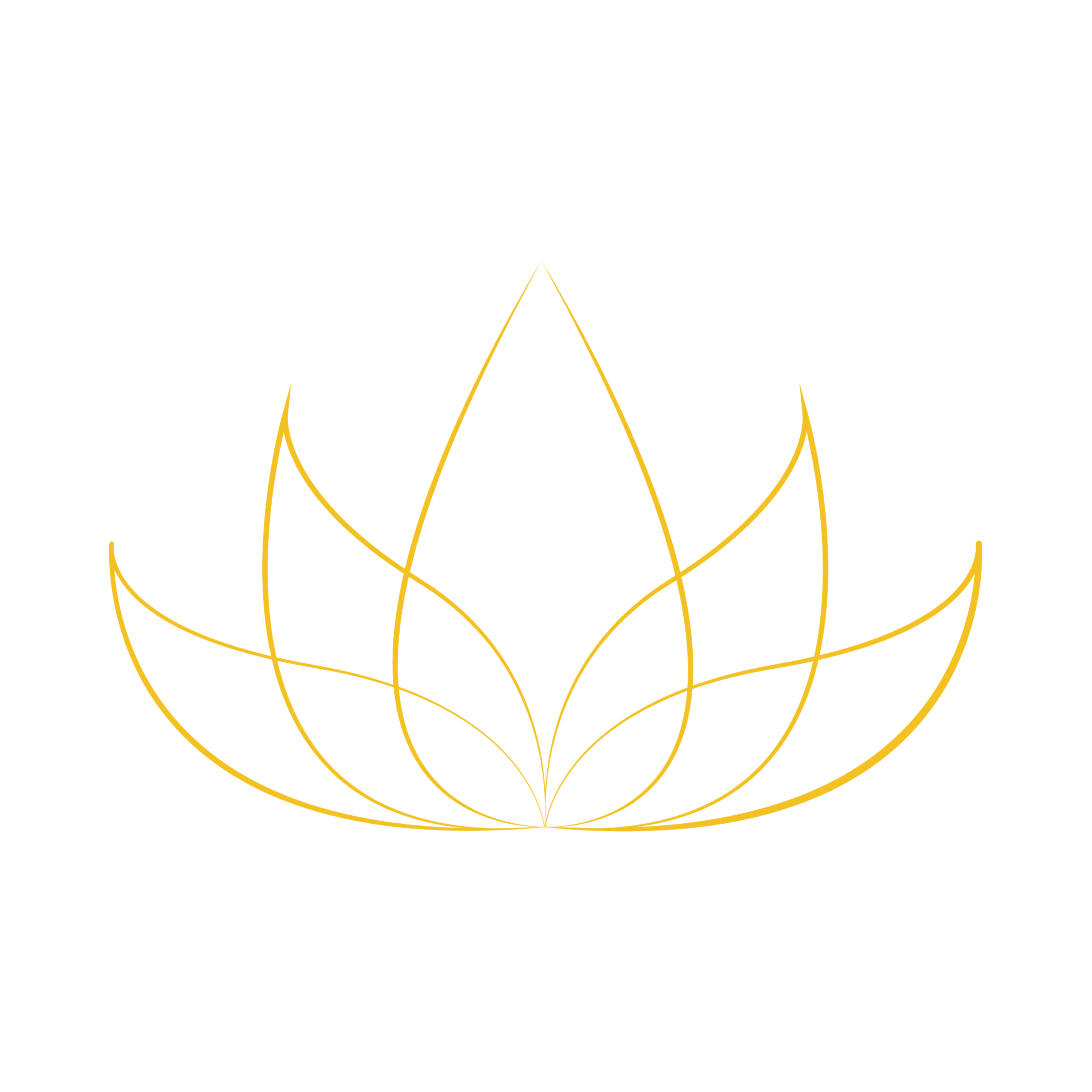 לוטוס ערכת אוהולה